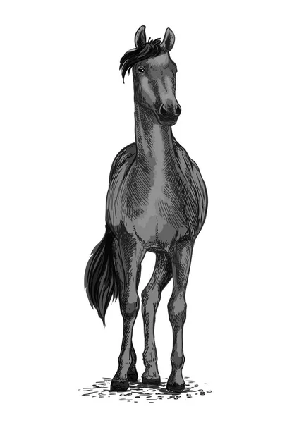 Cavalo selvagem preto ou símbolo de vetor de trote — Vetor de Stock