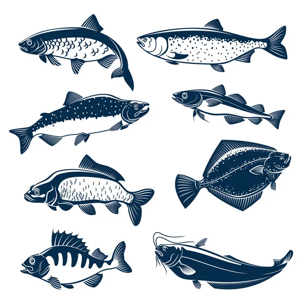 Námořní a říční ryby vektorové izolované ikony — Stockový vektor
