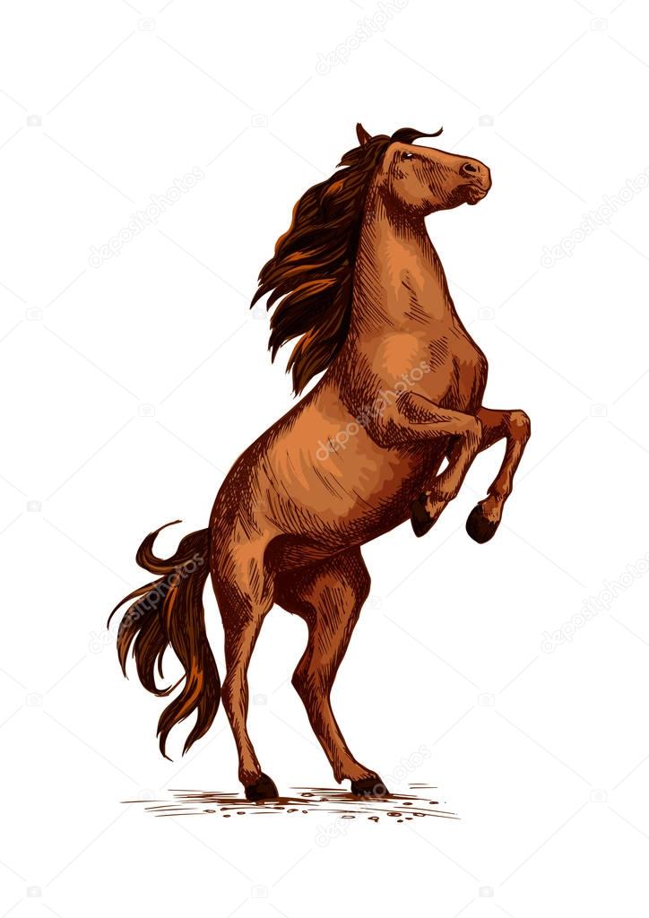 Rearing wild horse vector sketch symbol