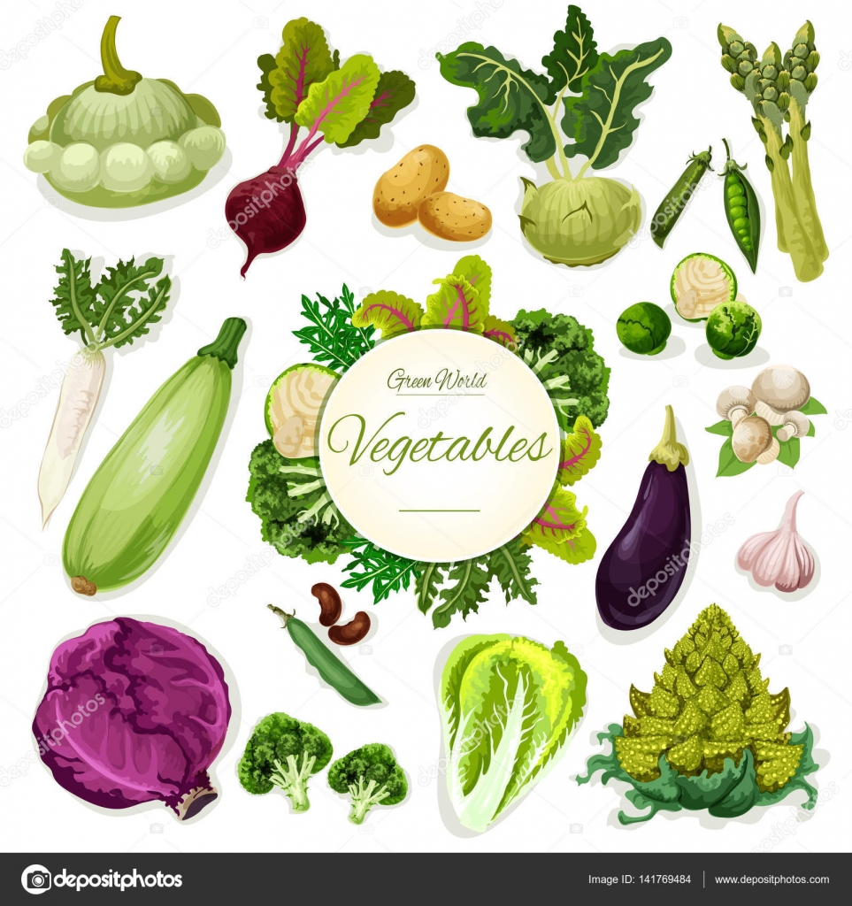 绿色蔬菜和豆类卡通海报设计图库矢量图©VectorTradition 141769484, image size:963x1024