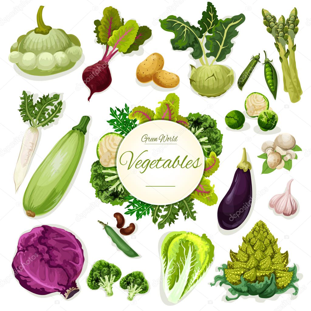 Green vegetables and beans cartoon poster design