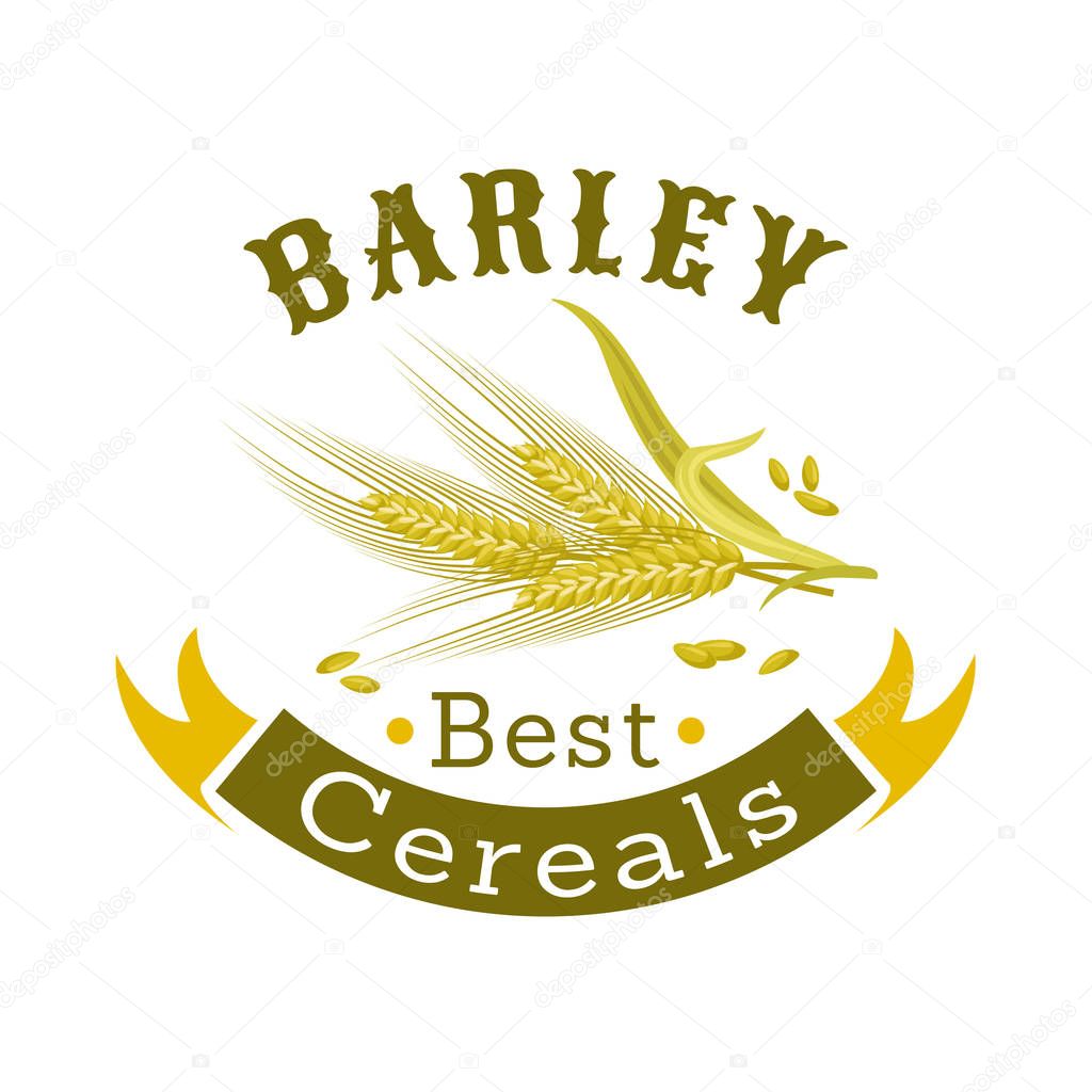 Barley grain cartoon badge. Ripe ear of cereal with ribbon banner and header. Agriculture symbol, organic farm and mill sign design