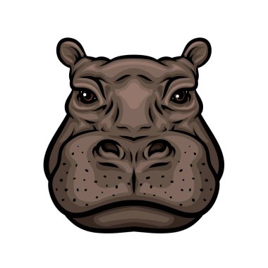 Su aygırı veya Afrika su aygırı hayvan izole simgesi