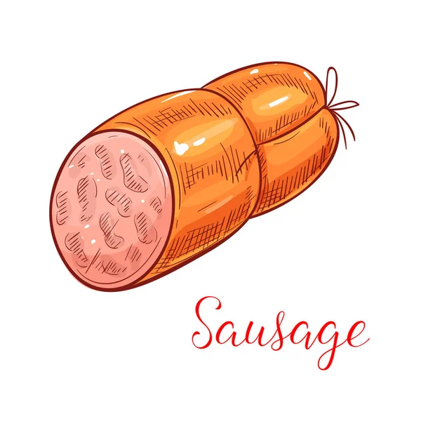 Croquis de saucisse de viande pour la conception du thème de la nourriture — Image vectorielle