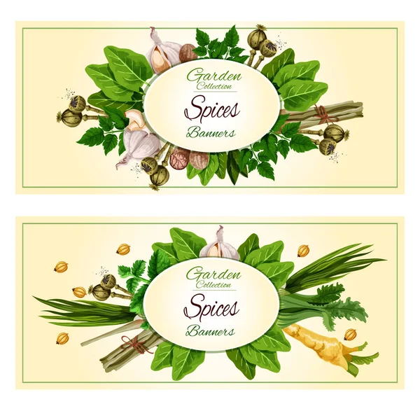 Spices and herbs banner set for food design — Stock Vector