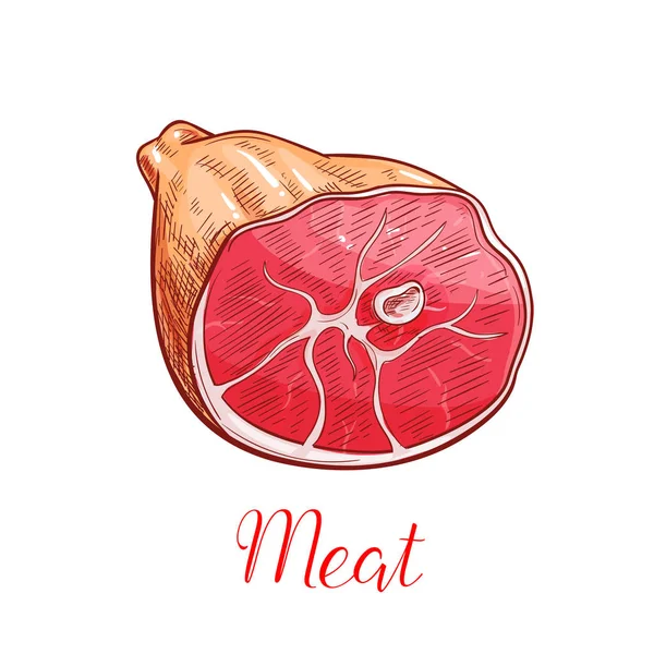 Boceto aislado de carne de jamón con pata de cerdo ahumada — Vector de stock