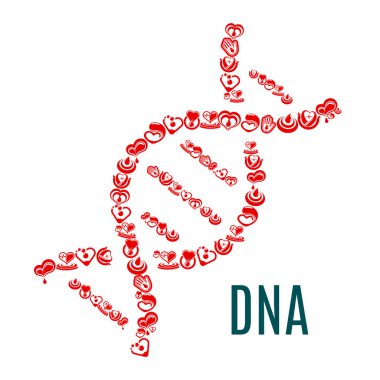 Vektör kalp ve kan DNA sembolü