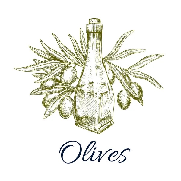 Oliven und Olivenöl Flaschenvektorskizze — Stockvektor