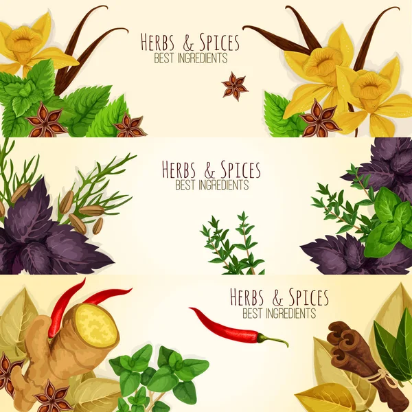 Hierbas, especias ingredientes culinarios banderas vectoriales — Archivo Imágenes Vectoriales