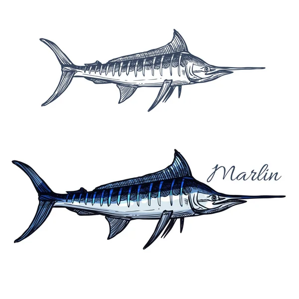 Marlin Fisch Vektor isolierte Skizze Symbol — Stockvektor