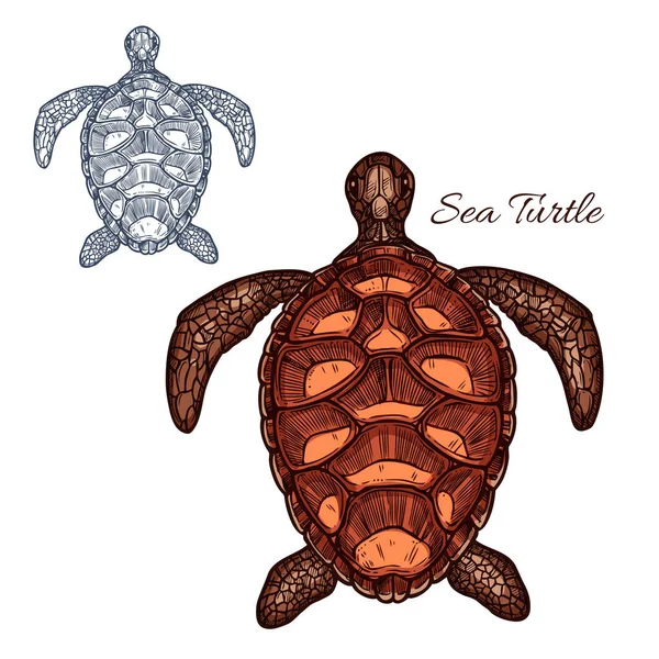 Havssköldpaddan vektor isolerade icon — Stock vektor
