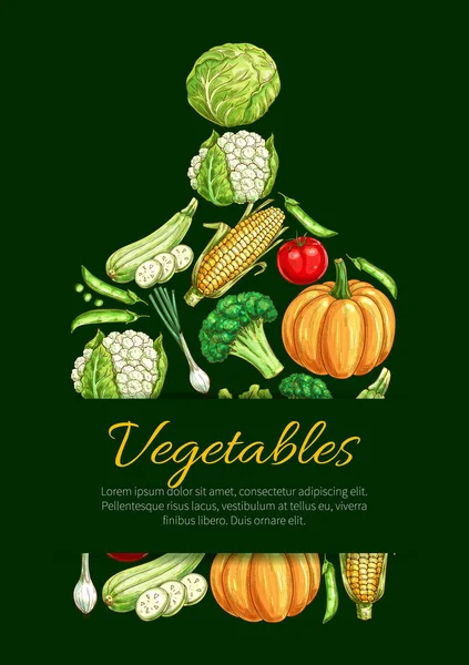 Vegetables and organic veggies vector poster — Stock Vector