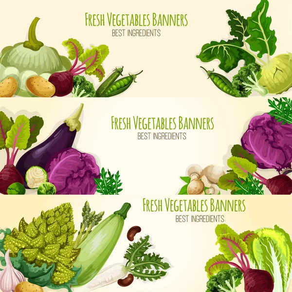 Conjunto de pancartas vectoriales de verduras y verduras frescas — Vector de stock