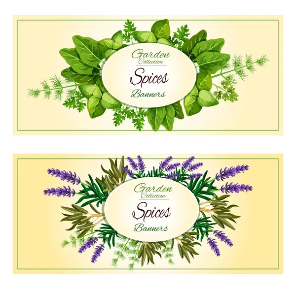 Herbal spices, herbs vector banners set — Stock Vector