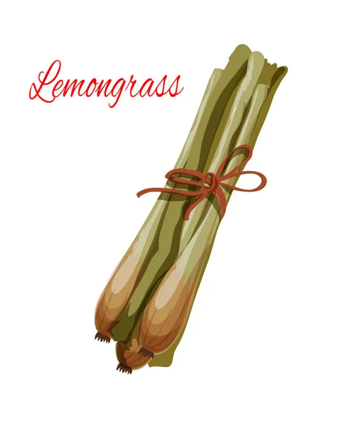 Lemongrass erba spezie aromatizzante icona vettoriale — Vettoriale Stock