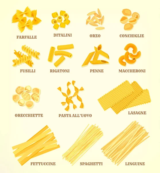 Tipos de pasta italiana o tipos de iconos vectoriales — Vector de stock