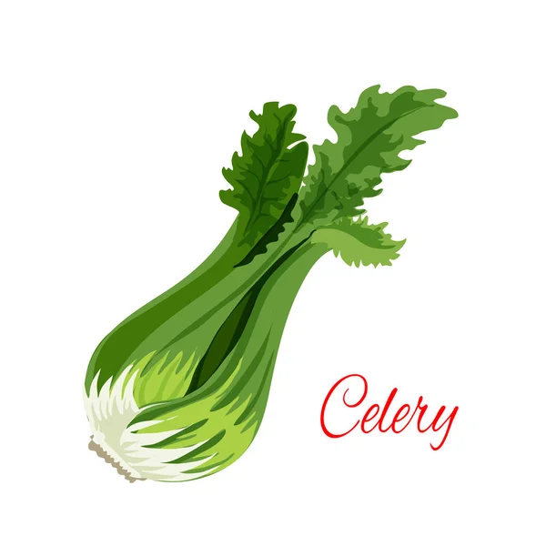 Celer bylinková zeleninová příchuť vektorové ikony — Stockový vektor