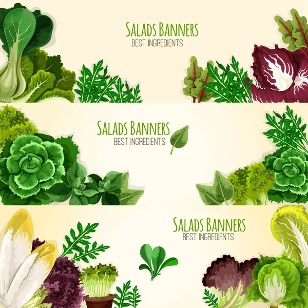 Salads or leafy vegetables vector banners set — Stock Vector