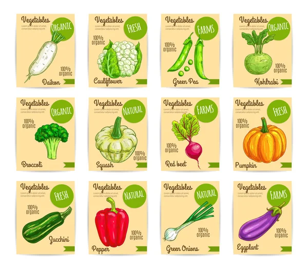 Carte de légumes frais bio, étiquette, prix — Image vectorielle