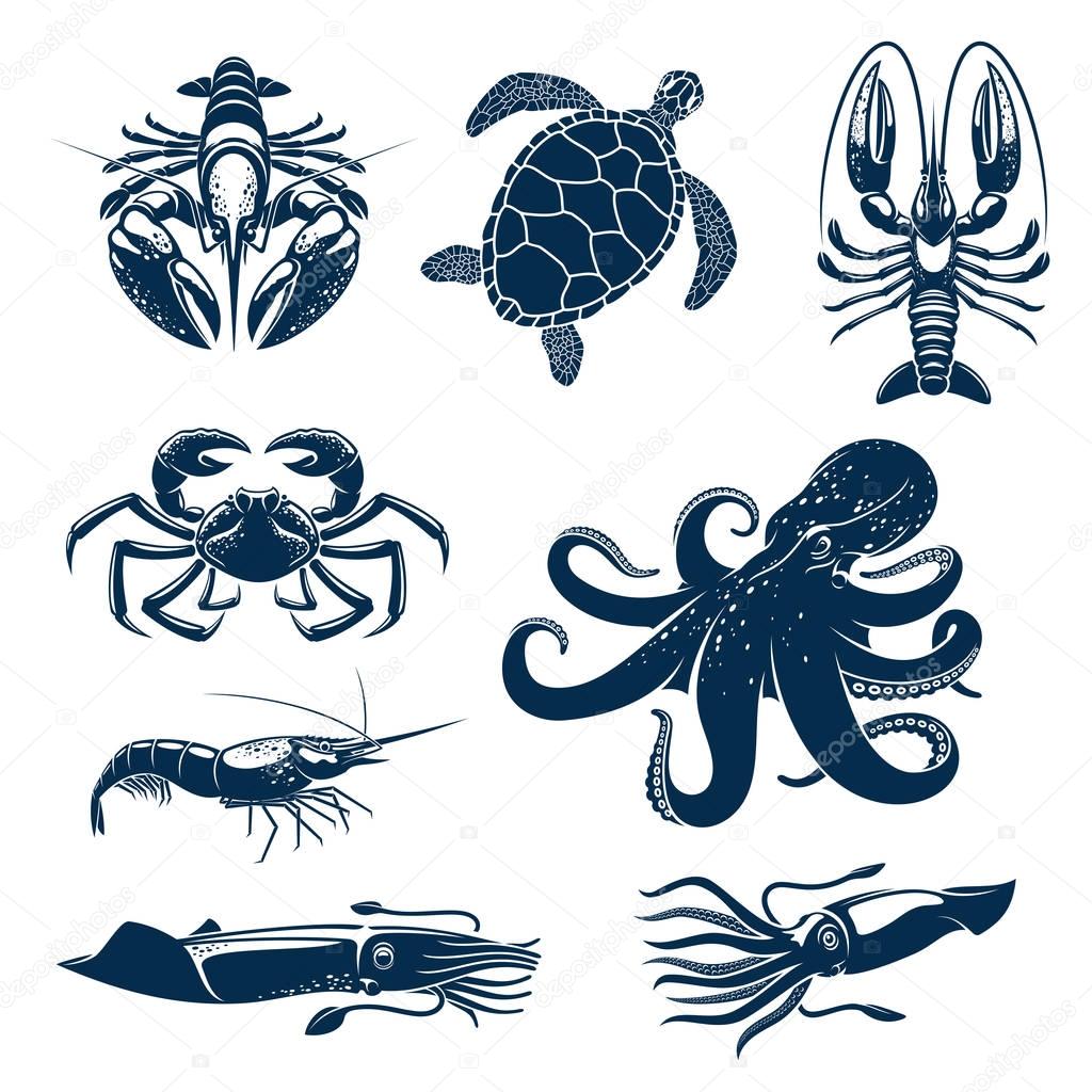 Seafood, marine animal icon set for food design