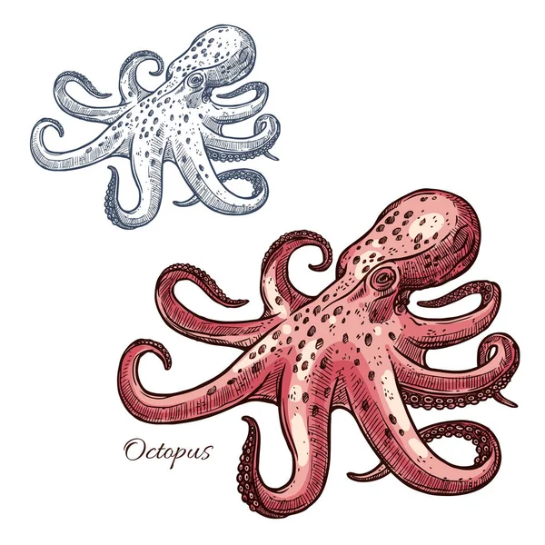 Octopus geïsoleerde schets voor zeevruchten ontwerp — Stockvector