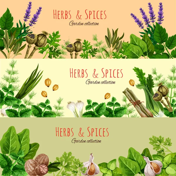 Herbs, spices and condiments cartoon banner set — Stock Vector