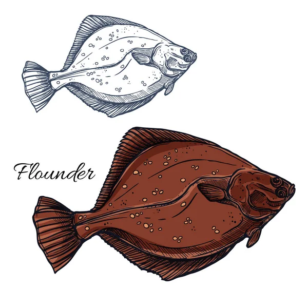 넙치 물고기, 바다 가자 절연 스케치 — 스톡 벡터