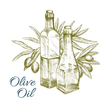 Olive oil and green olives branch vector sketch clipart