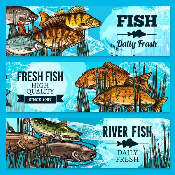 Fresh fish vector sketch banners for market — Stock Illustration Fresh fish vector sketch banners for market Vector Graphics