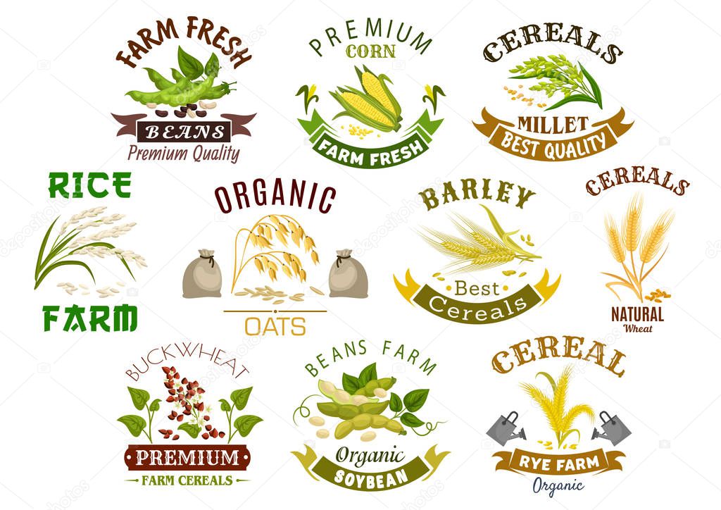 Cereal product icons. Vector symbols of wheat flour bag, rye ears and grain, buckwheat seeds and oat or barley millet and rice sheaf. Isolated agriculture corn cob and farm legume beans or pea