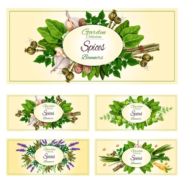 Fresh herbs, spices and condiments banner set — Stock Vector