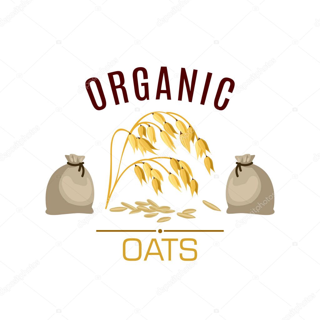 Oats vector icon. Cereal seed grass plant of oats ear with leaves and flour or grain sacks. Design for diet nutrition food, oaten porridge or oatmeal ingredient for grocery store, market or package
