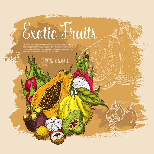 Vektorové skici plakát exotické tropické čerstvého ovoce — Stockový vektor