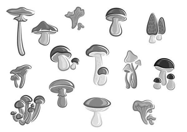 Funghi commestibili champignons, spugnole icone vettoriali — Vettoriale Stock