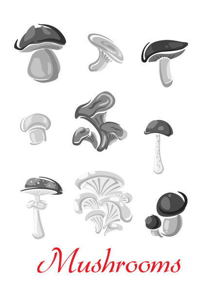 Mushrooms champignon, chanterelle vector icons