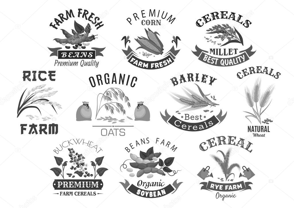 Cereal and grain icons for market or product store. Wheat or rye ears, buckwheat seeds and oat or barley millet flour bag and rice sheaf. Agriculture corn and farm legume beans or pea. Vector set