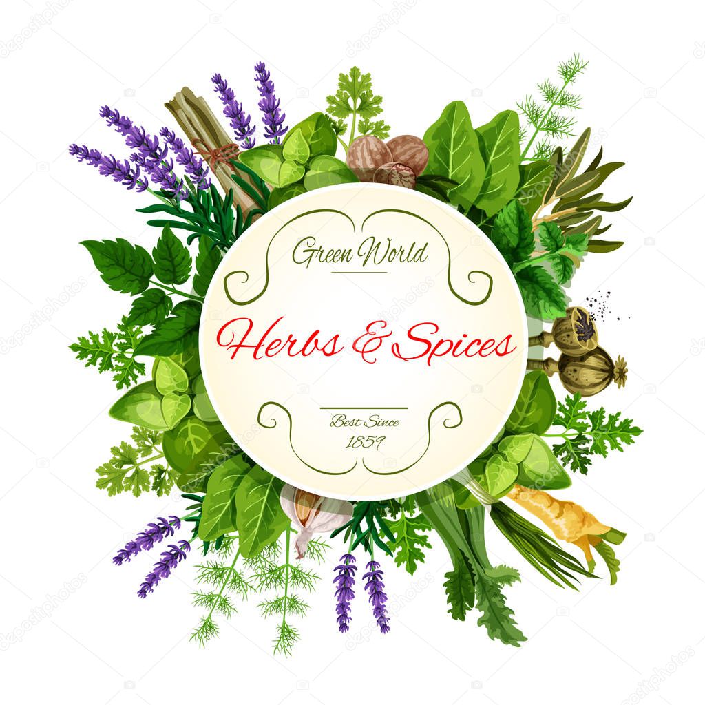 Fresh herbs and spices round label for food design