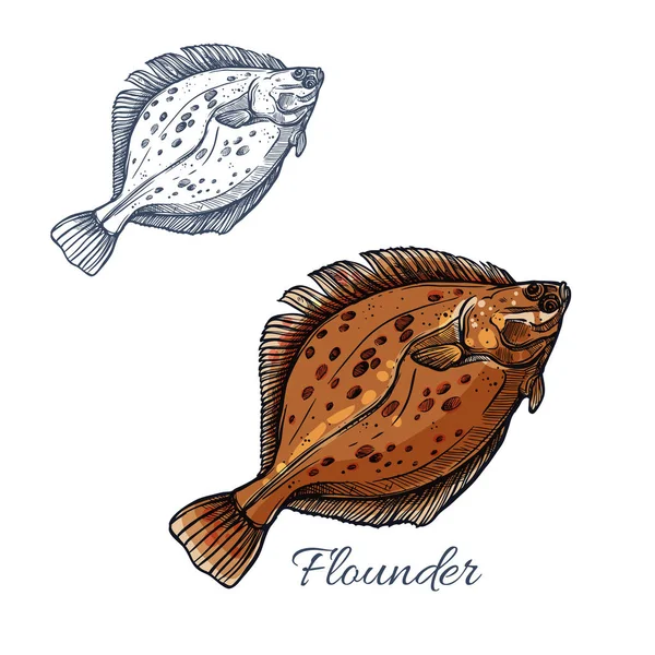 Flounder flatfish sketsa untuk desain makanan laut - Stok Vektor