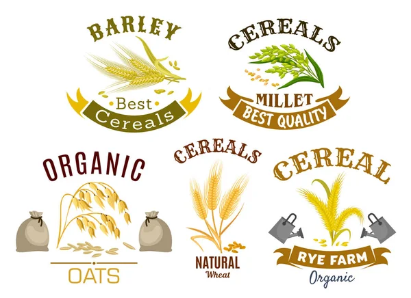 Cereal icon set with wheat, rye, oat and millet — Stock Vector