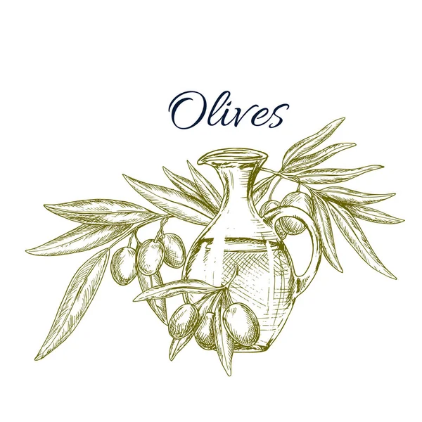 Jarra de aceite de oliva con fruta en el boceto de la rama — Archivo Imágenes Vectoriales
