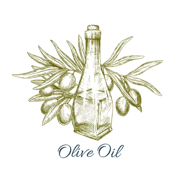 Ölflasche mit Olivenfrüchten Skizze Poster — Stockvektor