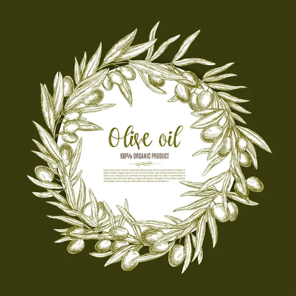 Olivenöl Poster von Vektor Oliven Zweigkranz — Stockvektor