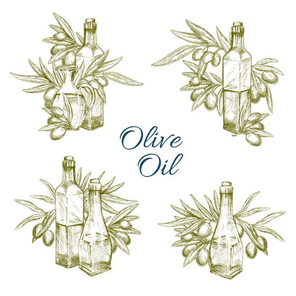 Olivenölflasche mit Frucht und Zweigskizze — Stockvektor