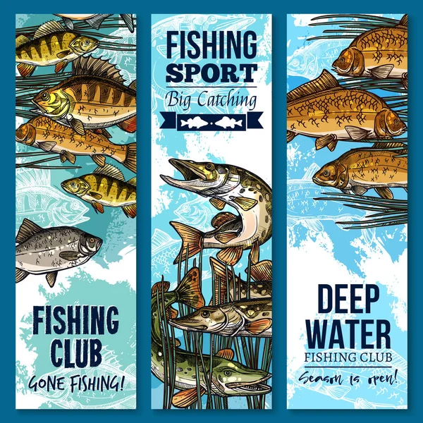 Fiske sport club banner set med simning fisk — Stock vektor
