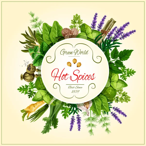 Specerijen en blad plantaardige poster voor voedsel ontwerp — Stockvector