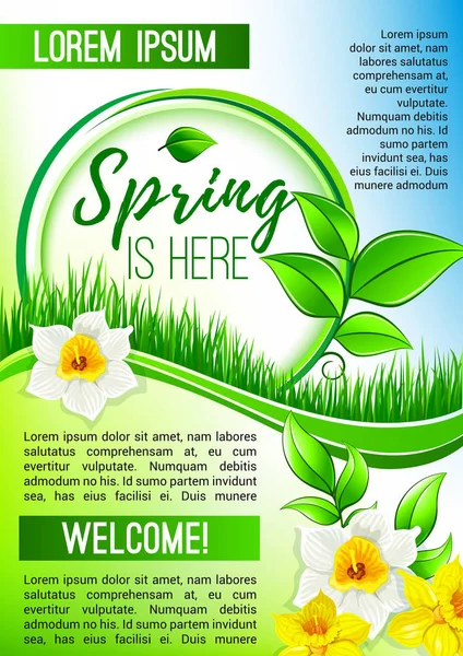 Saluti poster primavera di fiori vettoriali fioritura — Vettoriale Stock