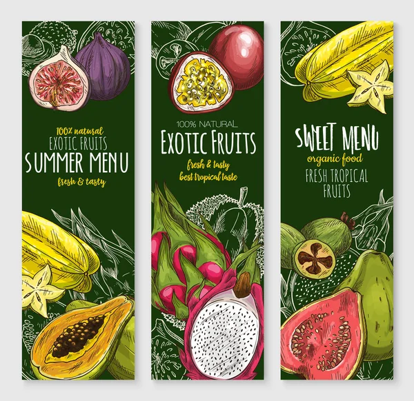 Vector banners set van exotische tropische vers fruit — Stockvector