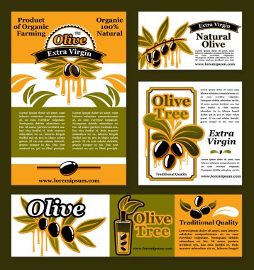 Vektör afiş ve zeytinyağı ürün için poster