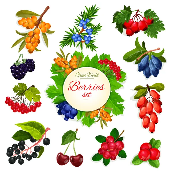 Vector icons set van bessen en fruit bosvruchten — Stockvector