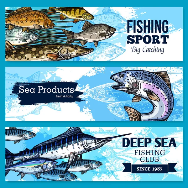 Banderas vectoriales del club de pesca o del producto del pescado de mar — Vector de stock